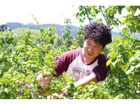 王隠堂農園プラムハニー2本入りセット x1