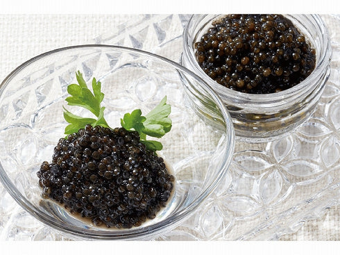 フランス産養殖キャビア18g x2