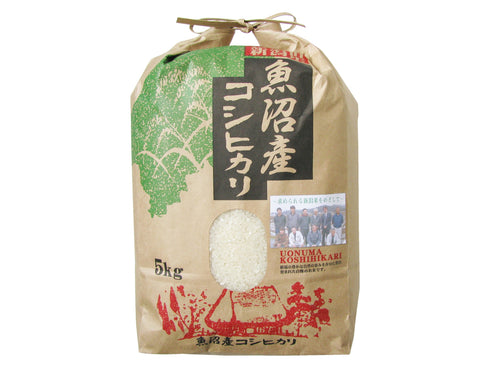 魚沼産コシヒカリ5kg