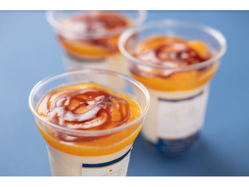 TERAKOYA監修 濃厚マンゴープリン 6個 x1