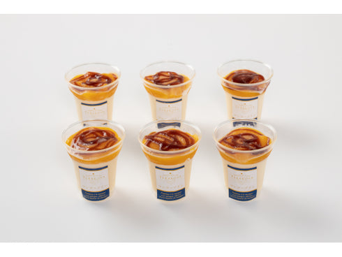 TERAKOYA監修 濃厚マンゴープリン 6個 x1