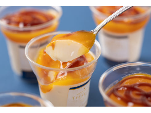 TERAKOYA監修 濃厚マンゴープリン 6個 x1