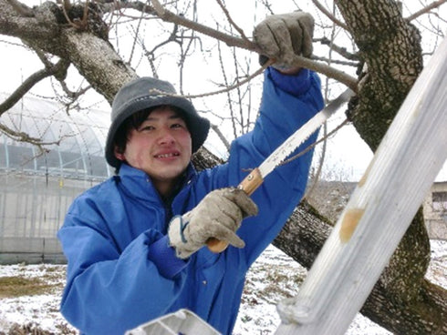 【冷凍】A 長野県・戸田屋 市田柿フロマージュ x1