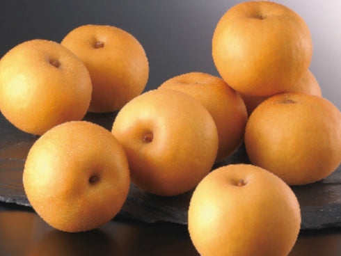 福島県/福島JA 幸水梨 x1