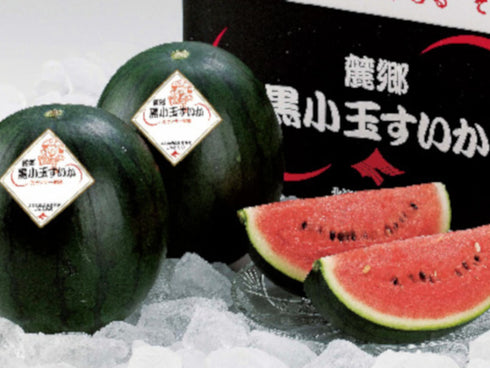 北海道富良野産黒小玉すいか x1