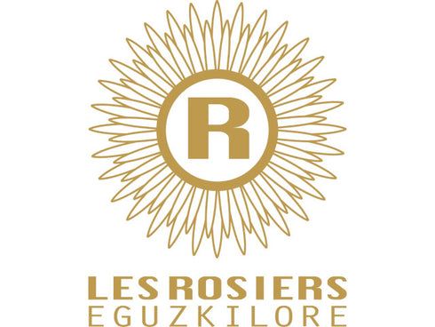 銀座京橋 レ ロジェ エギュスキロール アイス 計11個 x1