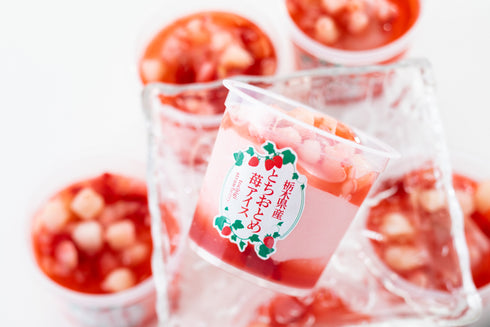 栃木県産とちおとめ苺アイス 6個 x1