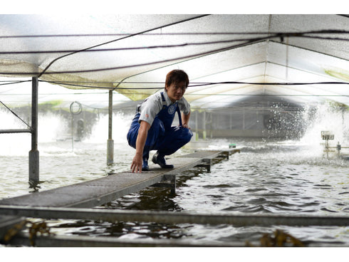 宮崎県・鰻楽 うなぎ蒲焼切身5切
