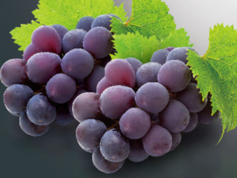 【冷蔵】岡山県ピオーネ約 400g x2