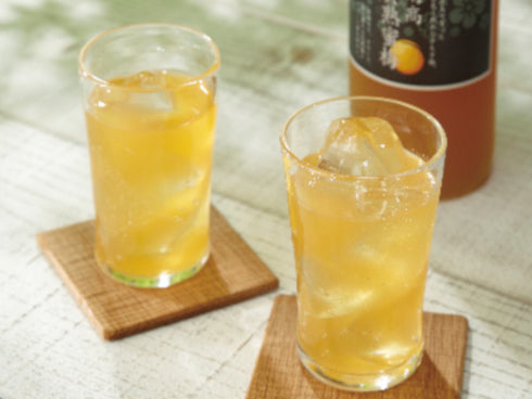 南高黄熟蜜梅2本セット x1