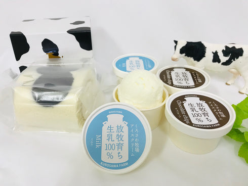 黒沢牧場 牛柄ミルクロールと牧場アイス(ミルク、チョコ) 4個 セット x1