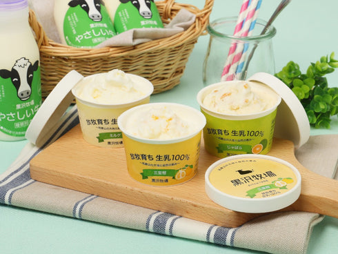 黒沢牧場 和歌山3姉妹アイス 6個 x1