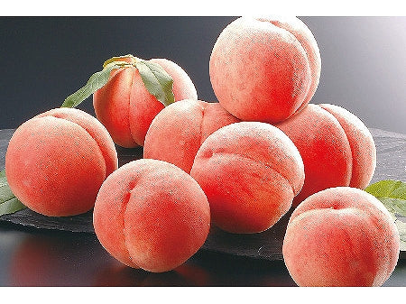 長野県 長野の桃 6~8個