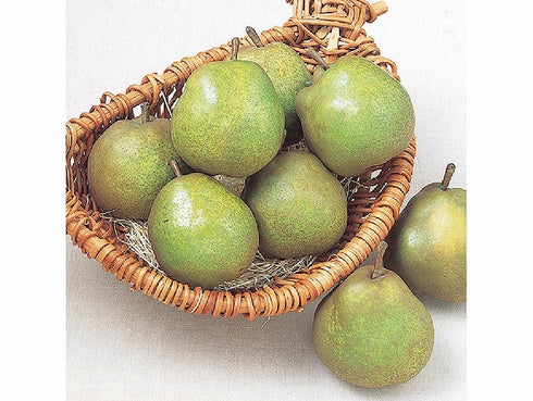 山形県/上山の無袋栽培ラ・フランス4kg