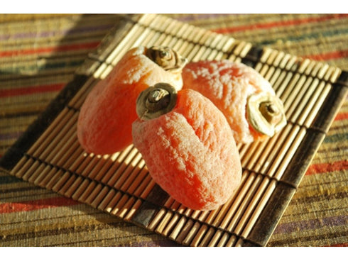 長野県・戸田屋 市田柿 フロマージュ 200g