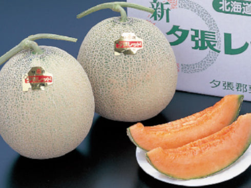 北海道/夕張郡栗山町日原さんグループの新夕張レッドメロン x1