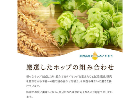 新潟ビール醸造 胎内高原ビール4種4本セット x1