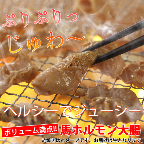 国産 馬刺し 馬肉 熊本 馬ホルモン大腸 500g 加熱用