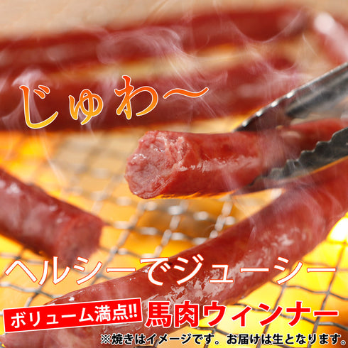 国産 馬刺し 馬肉 熊本 馬肉ウィンナー 5本入り 180g 馬刺 馬肉 ばさし 国産 馬刺し 刺し basashi 純馬刺し ヘルシー 贈り物 贈答 ギフト お取り寄せ 産直 人気 通販 熊本名産 熊本肥育 おつまみ 業務用 業務 飲食店 イベント