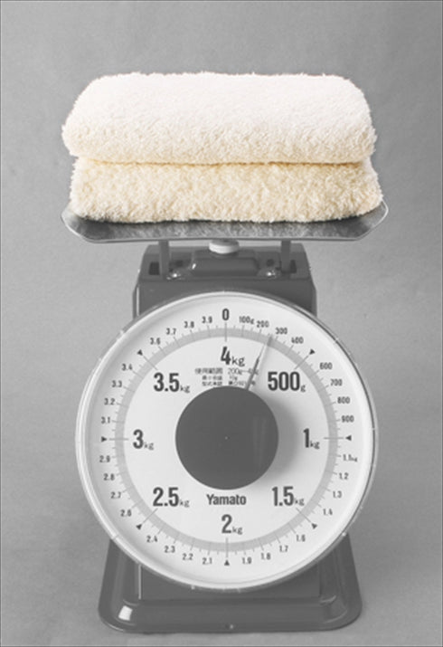 極選 魔法の糸 今治製パイル綿毛布 AI-10010