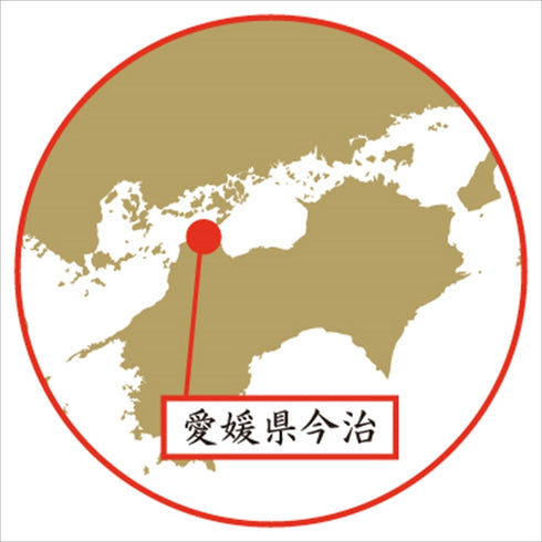 極選 魔法の糸 今治製パイル綿毛布 AI-10010