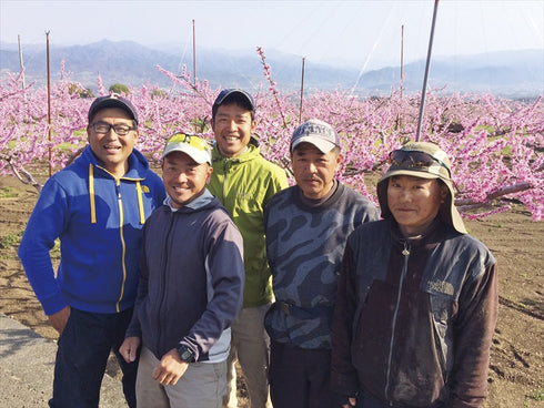 山梨古屋農園・一宮の樹上完熟桃 大玉2kg【送料無料・同梱不可】