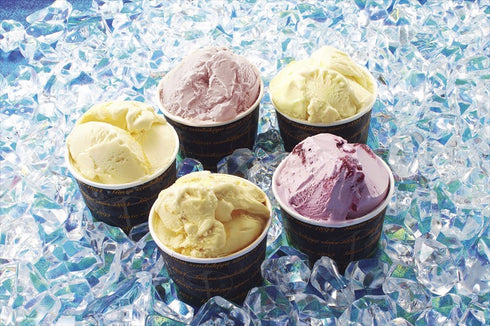 銀座千疋屋 銀座プレミアムアイス PGS-036【送料無料・同梱不可】