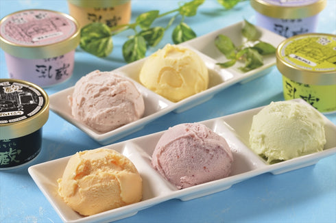 乳蔵アイスクリーム5種16個 110035【送料無料・同梱不可】