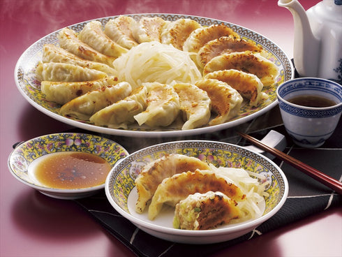 浜松餃子 HG-30【送料無料・同梱不可】