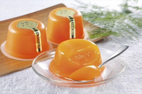 夕張メロンゼリーネオ NEO-6B