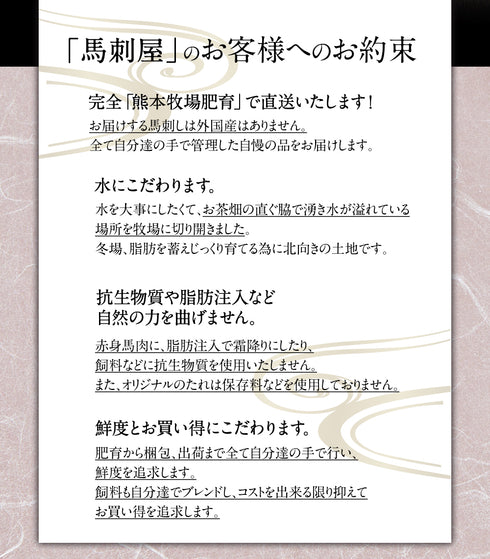 馬刺し 熊本 国産 馬肉 馬刺し入門セット 210g 国産馬刺し 馬刺 馬肉 産直 ばさし basashi 純馬刺し 贈り物 贈答 ギフト お取り寄せ 産直 人気 通販 熊本名産 熊本肥育 おつまみ 業務用 業務 飲食店 イベント 催事 2022 ヘルシー 晩酌 老舗