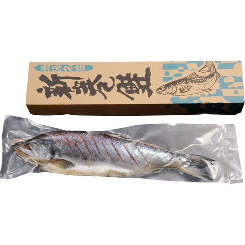 【送料無料】 新巻鮭姿切れ目入り 1.6kg 430201【お正月 お歳暮 御歳暮 大晦日 お年賀 御年始 ギフト 贈り物 贈答 内祝い 年始挨拶 帰省 水産品 海産物 サケ あらまき 魚】