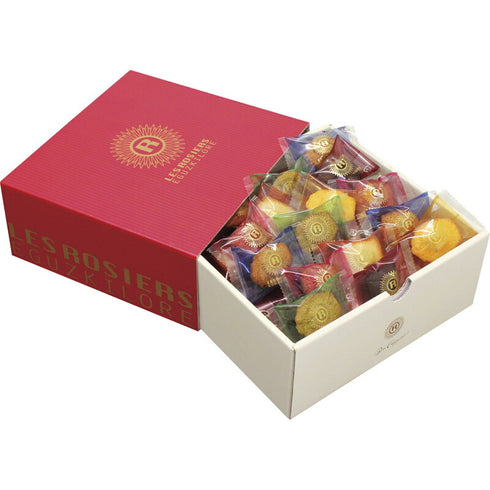 【送料無料】 銀座京橋 レ ロジェ エギュスキロール 銀座プチガトー YJ-PG