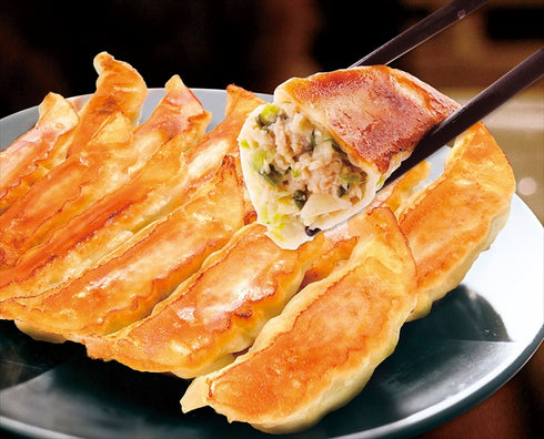 【送料無料】 宇都宮餃子館 人気4種セット KGNM4