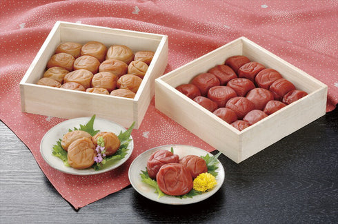 【送料無料】 梅庵 紀州南高梅紅白2段重(蜂蜜・紫蘇)