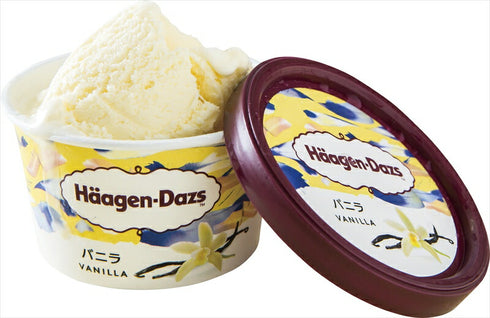 【送料無料】 ハーゲンダッツ スーパープレミアムアイスセット HD-5PW3