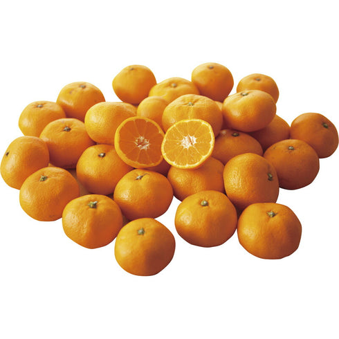 【送料無料】 岩八園 超小粒 有田みかん 3kg