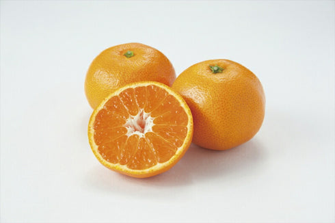 【送料無料】 和歌山 紀南 木熟みかん3kg