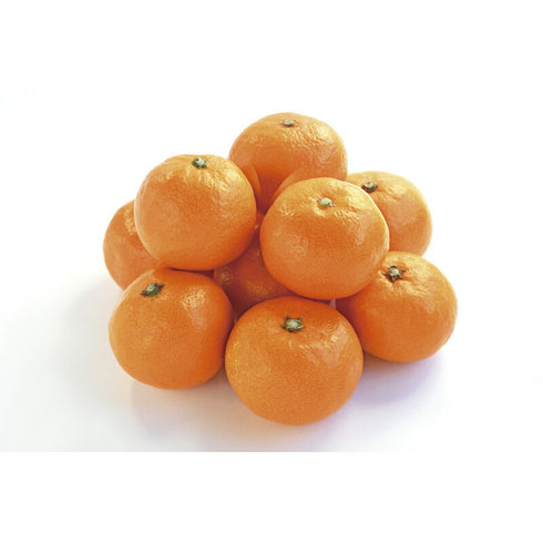 【送料無料】 和歌山 紀南 木熟みかん3kg