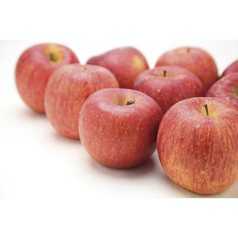 【送料無料】 信州 志賀高原 サンふじ3kg