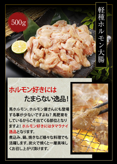 国産 馬刺し 馬肉 熊本 大盛セット 1150g × 2セット 【名入れ 祝い箸 ペアセット、「化粧箱大」有料オプション対応商品】